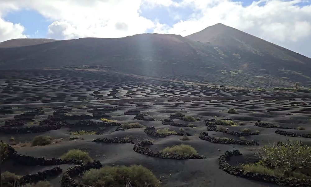 Volcanic vineyards and mountain scenery seen on a Lanzarote buggy tour